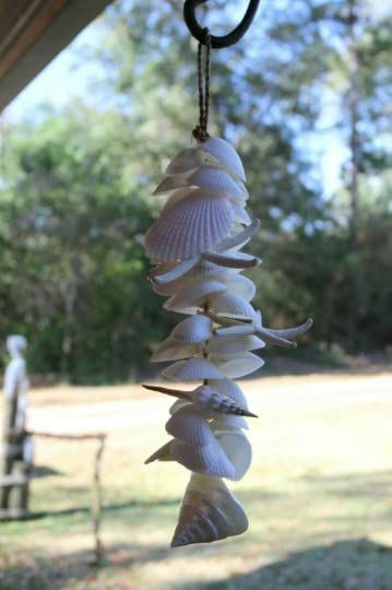 MOBILE, Seashell And Starfish Cluster, Coastal Home Decor, Hanging Seahell Mobiles G-01