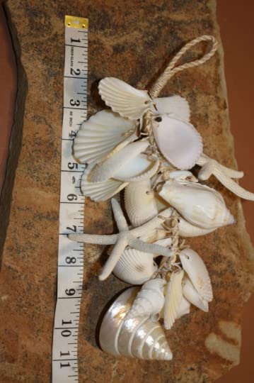 MOBILE, Seashell And Starfish Cluster, Coastal Home Decor, Hanging Seahell Mobiles G-01