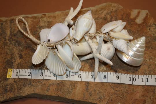 MOBILE, Seashell And Starfish Cluster, Coastal Home Decor, Hanging Seahell Mobiles G-01
