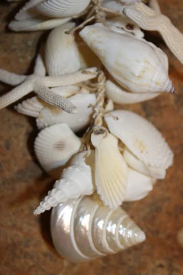 MOBILE, Seashell And Starfish Cluster, Coastal Home Decor, Hanging Seahell Mobiles G-01