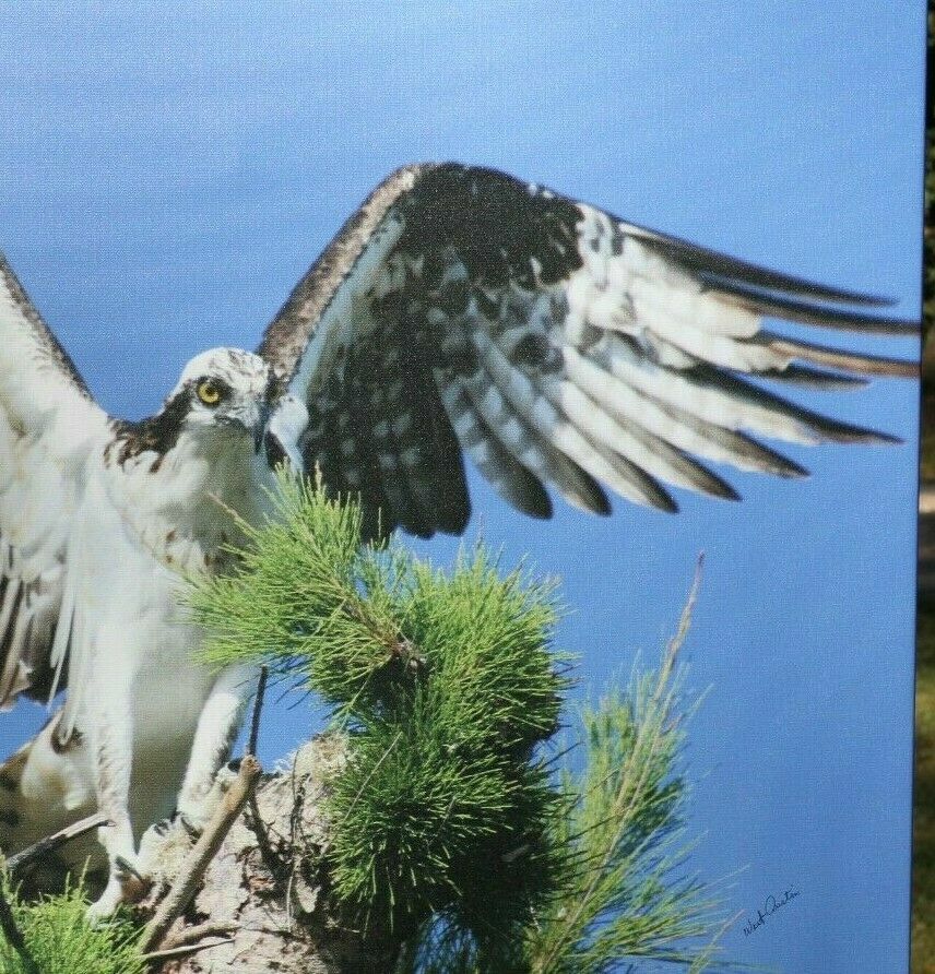 45282415