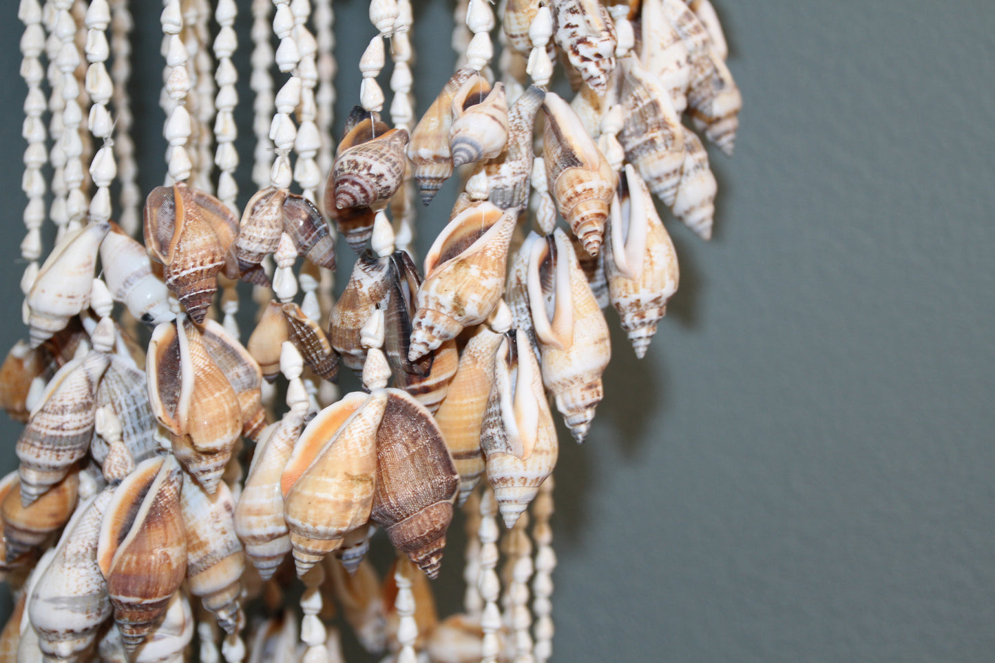 Large Chula Seashell Wind Chime, Beach Home Decor, Housewarming Gift, Wind Chimes, Spiral Wind Chimes, G-22