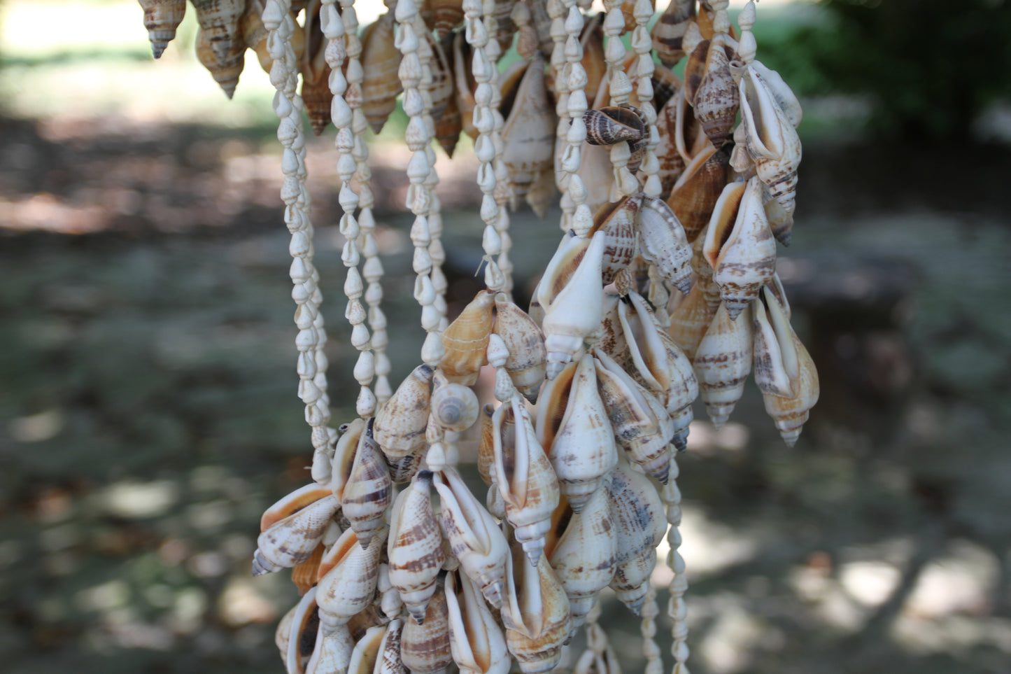 Large Chula Seashell Wind Chime, Beach Home Decor, Housewarming Gift, Wind Chimes, Spiral Wind Chimes, G-22