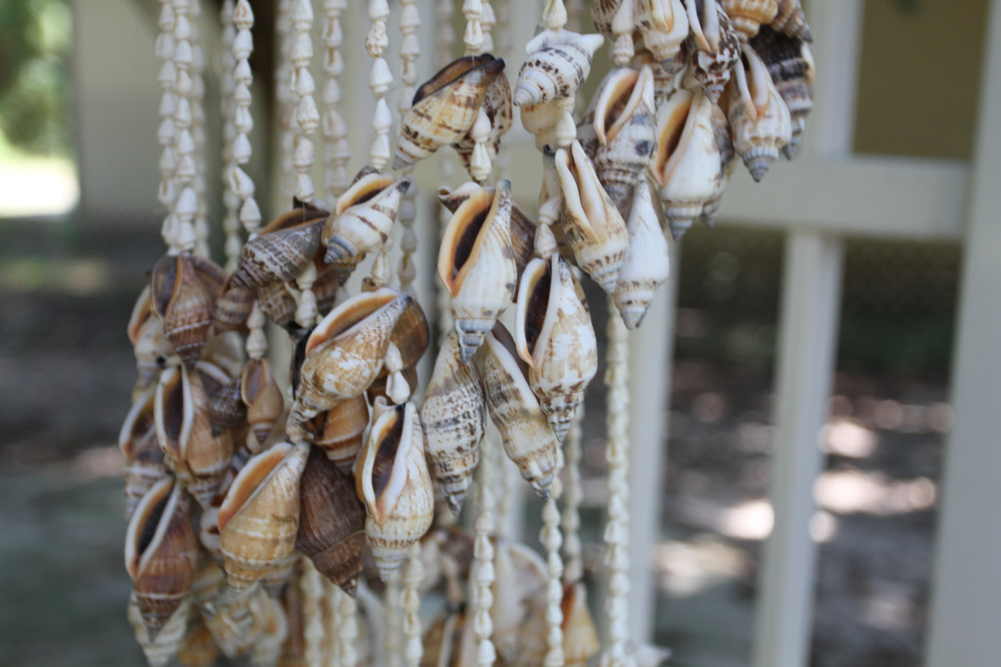 Large Chula Seashell Wind Chime, Beach Home Decor, Housewarming Gift, Wind Chimes, Spiral Wind Chimes, G-22