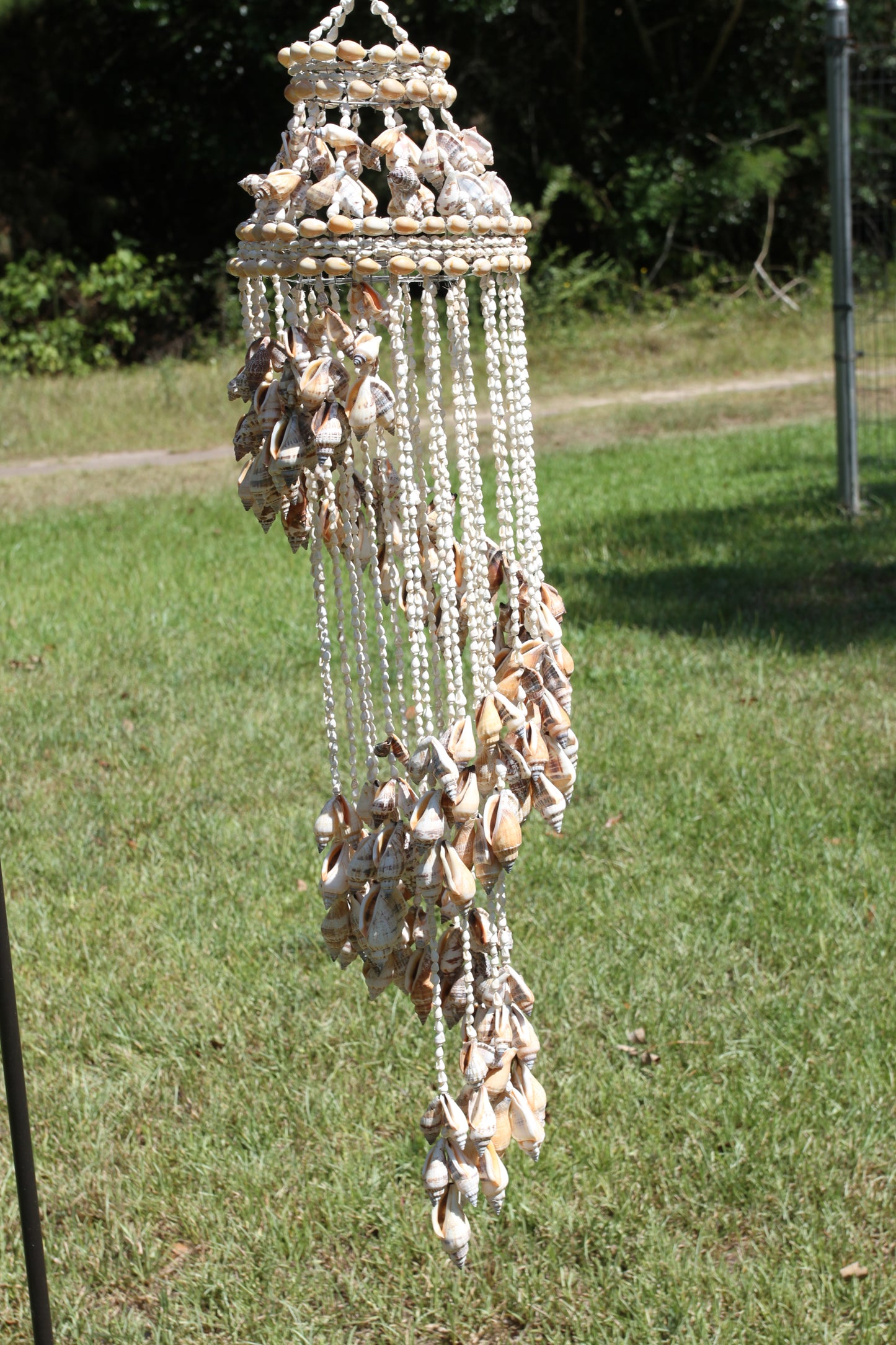 Large Chula Seashell Wind Chime, Beach Home Decor, Housewarming Gift, Wind Chimes, Spiral Wind Chimes, G-22