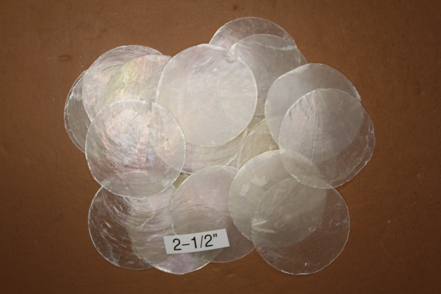 CAPIZ SEASHELLS, 2-1/2", Seaside Wedding Decor, Placement Cards, Floral Accents, Wedding Keepsakes, CS-95