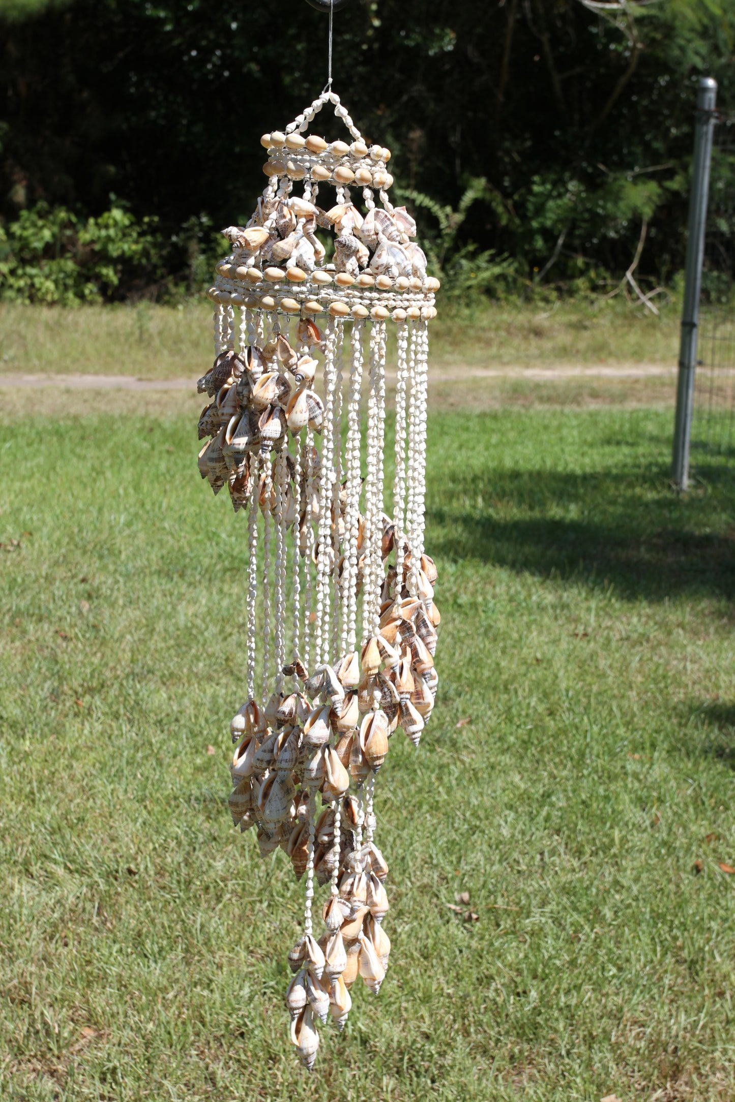 Large Chula Seashell Wind Chime, Beach Home Decor, Housewarming Gift, Wind Chimes, Spiral Wind Chimes, G-22