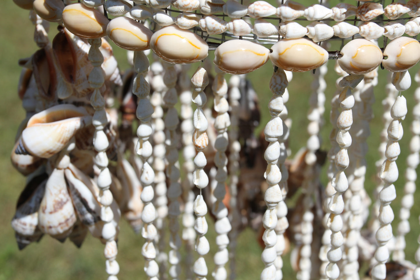 Large Chula Seashell Wind Chime, Beach Home Decor, Housewarming Gift, Wind Chimes, Spiral Wind Chimes, G-22