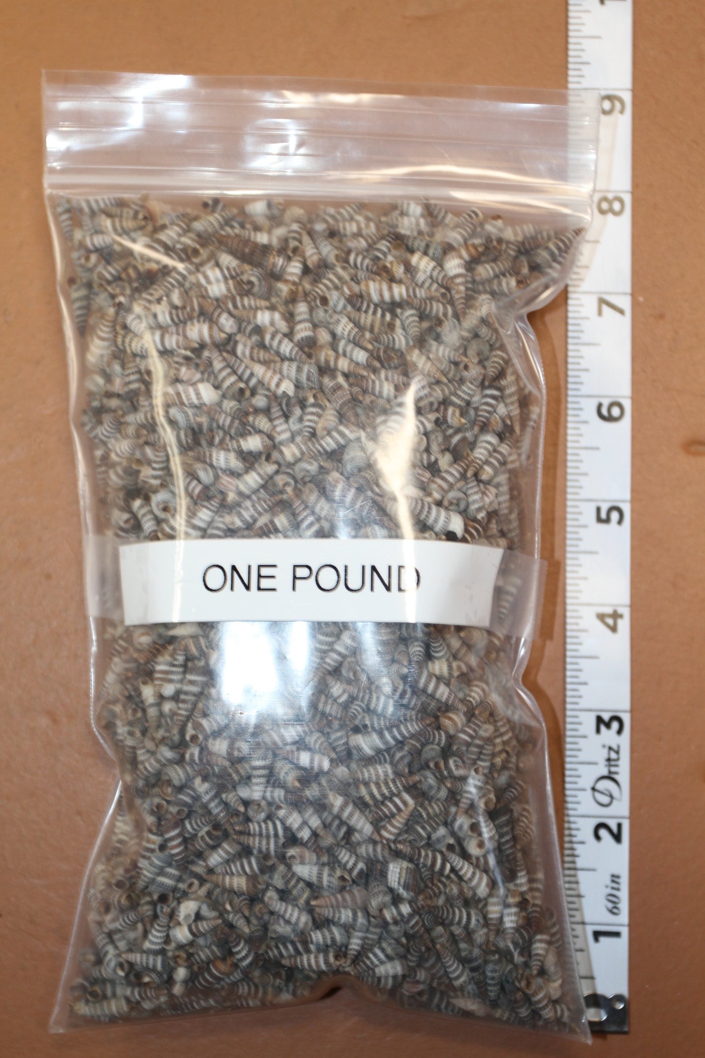 1 LB Bag of Cerith - Tiny seashell is a must-have for shell crafters, crafting supplies, jewelry and candle making projects and activities! SS-336