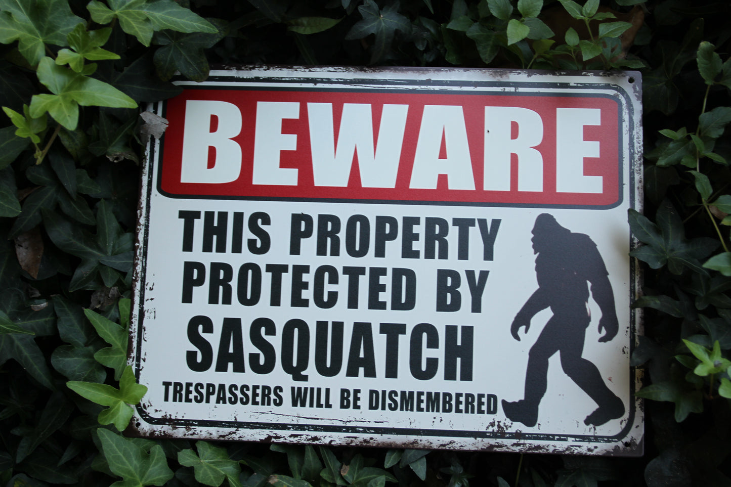 BEWARE OF BIGFOOT SIGN, Fence Sign, Wall Sign, Bigfoot Gift, Bigfoot Collection, Mythical Beast, BF-2