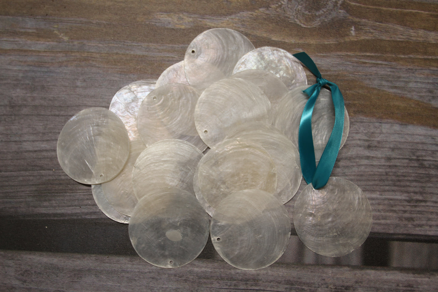 DRILLED CAPIZ SEASHELL, Thick Cut Shells, Semi Translucent Seashells, Widow Charm Craft Supply, CS-90D