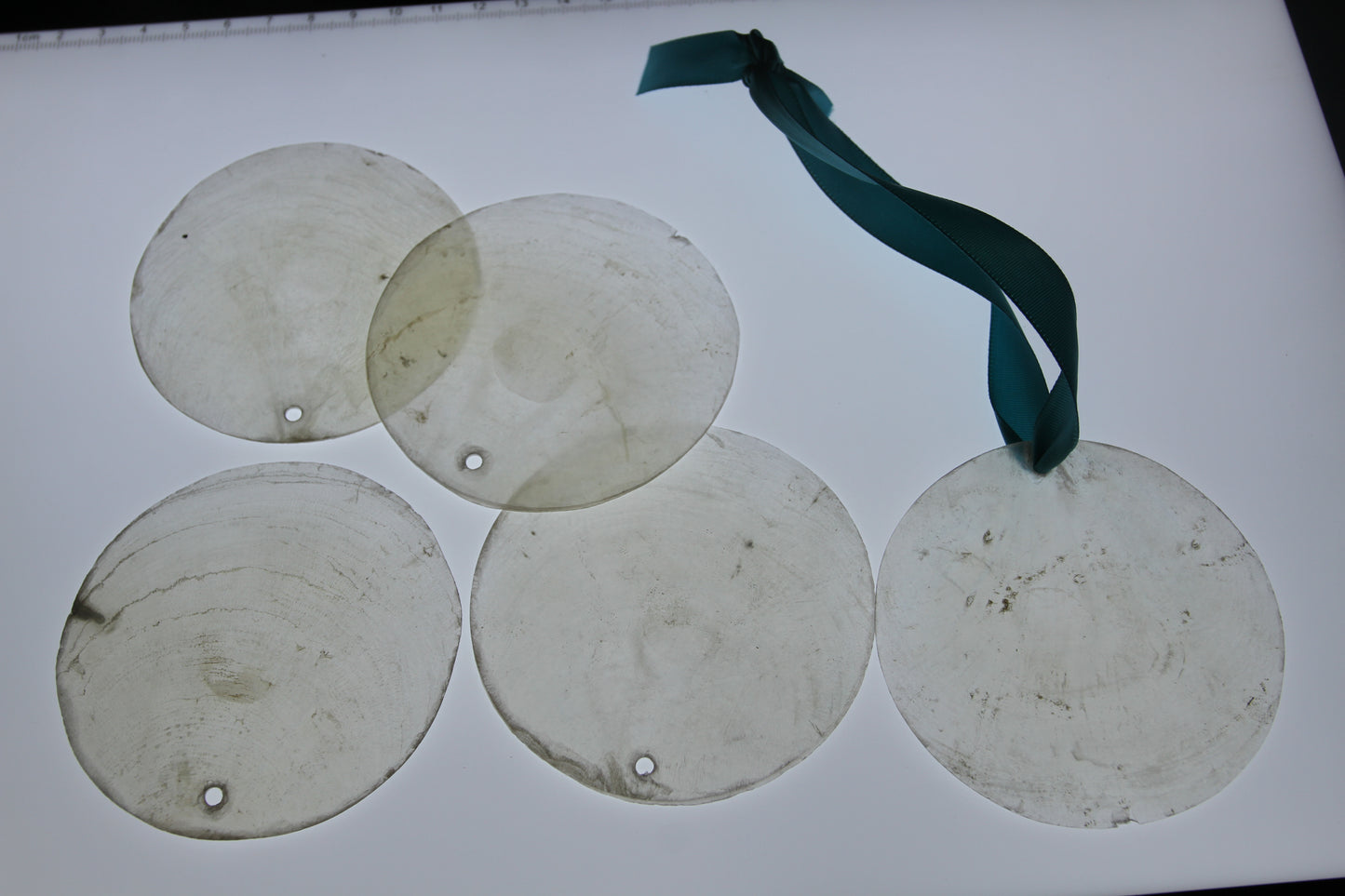 DRILLED CAPIZ SEASHELL, Thick Cut Shells, Semi Translucent Seashells, Widow Charm Craft Supply, CS-90D
