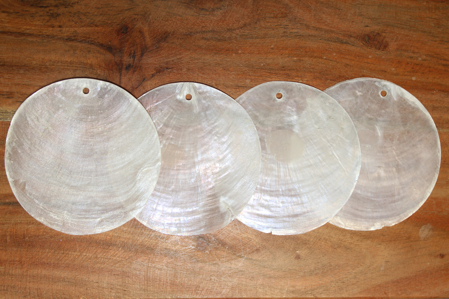 DRILLED CAPIZ SEASHELL, Thick Cut Shells, Semi Translucent Seashells, Widow Charm Craft Supply, CS-90D