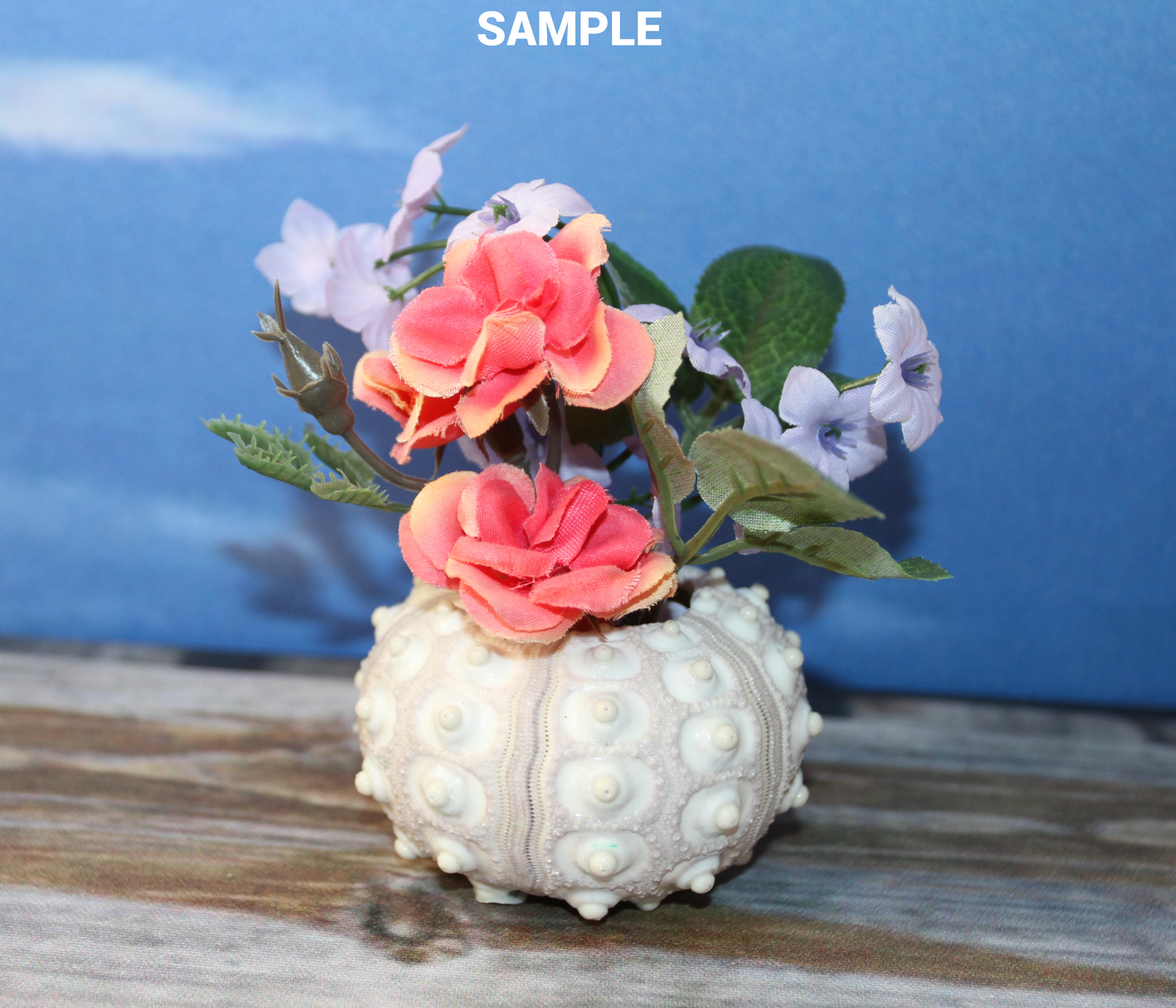 6- Air Plant Holder THAI URCHINS, Sputnik Urchins,Sea Life,,All Occasion Gifts,Collectibles,,Beach Art, SS-02B