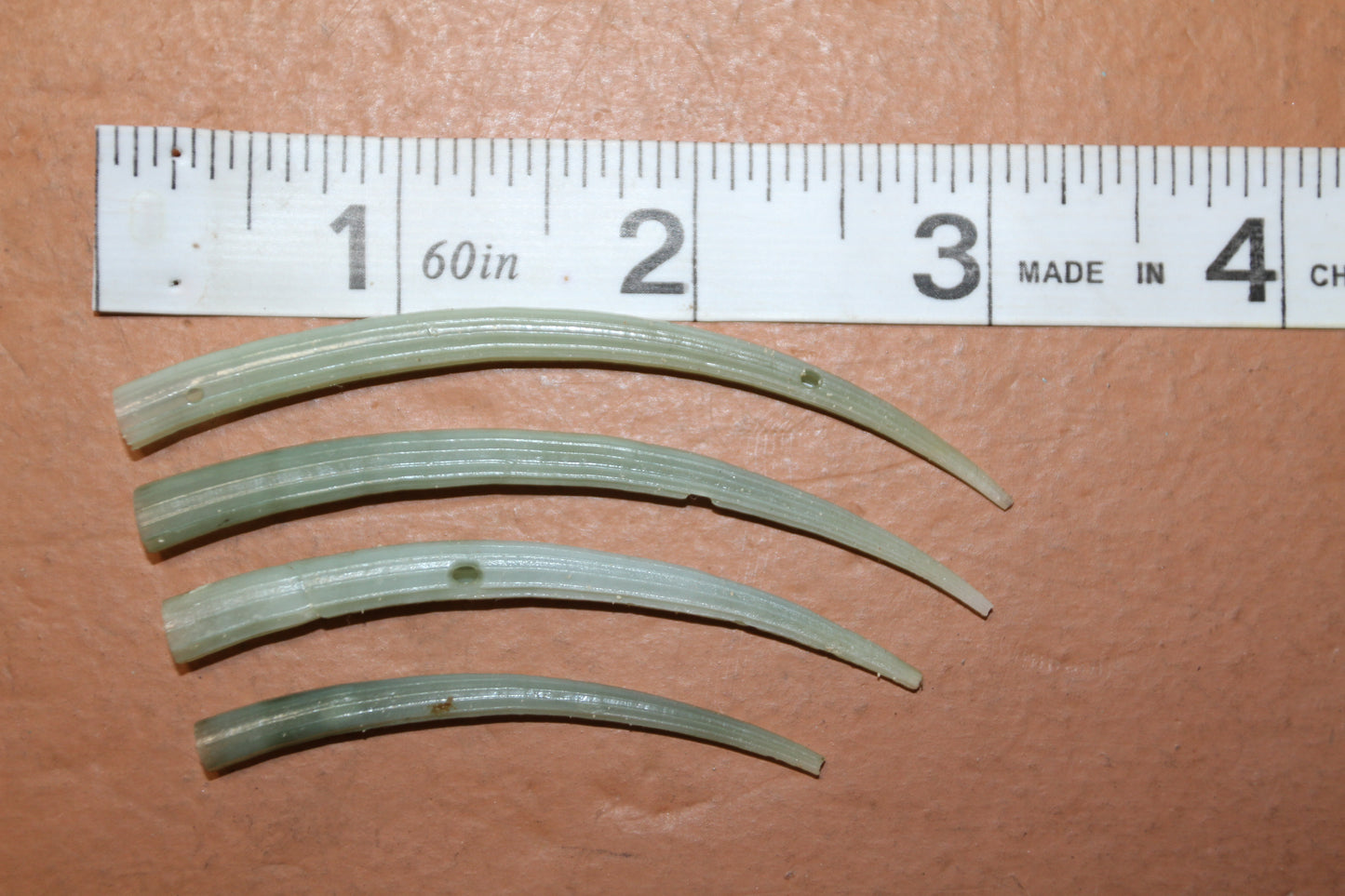 20- GREEN TUSKS, DENTALLIUM APRINUM, Seashell Flowers,Sailors Valentines,Florist Supply,Mosaics,Beach Art,Upscale Shell Craft, SS-523