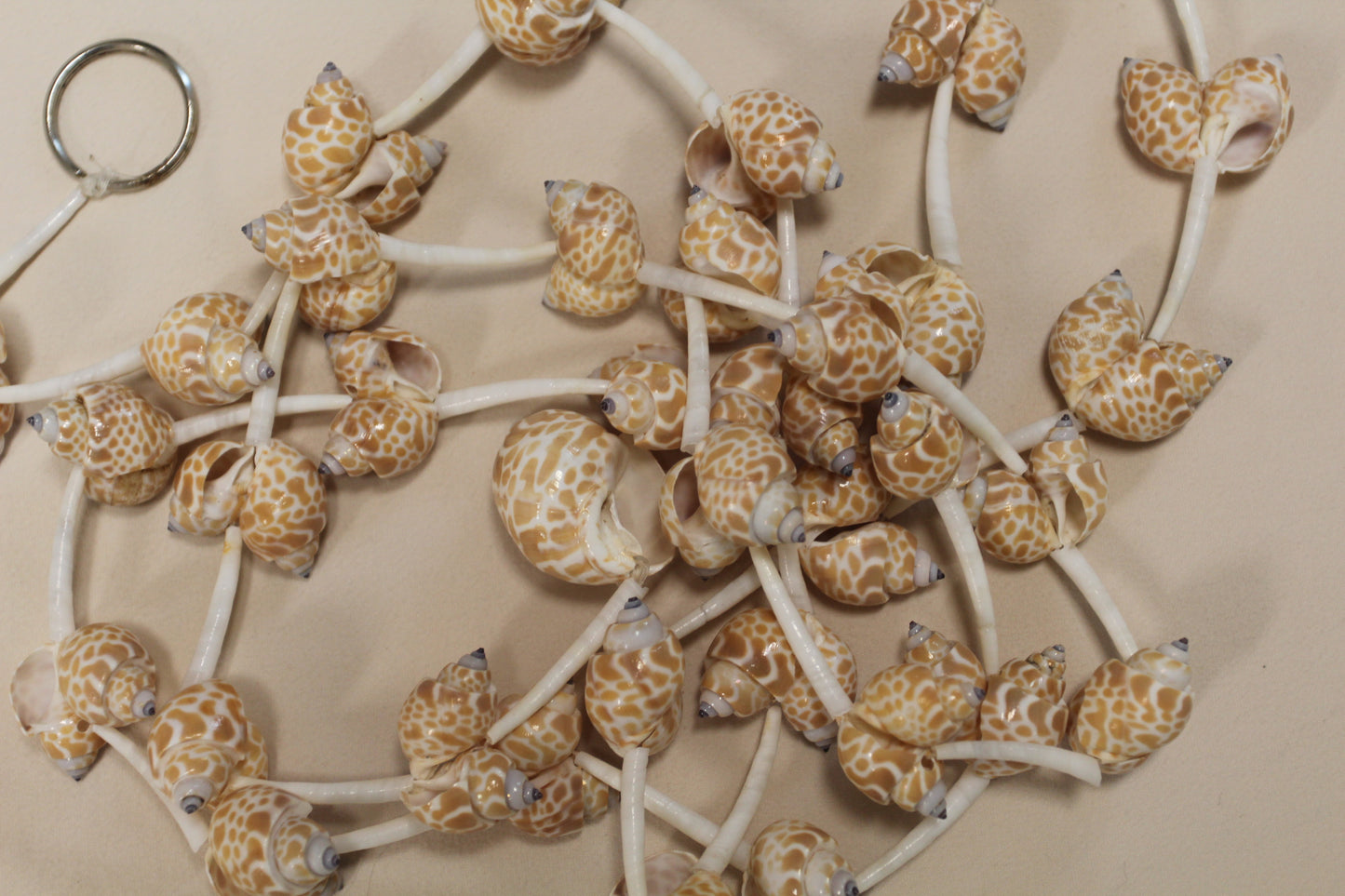 SEASHELL GARLANDS, 6 Feet Long, Christmas Garland, Beach Wedding Decor, Framing Strnds, GS-WLL