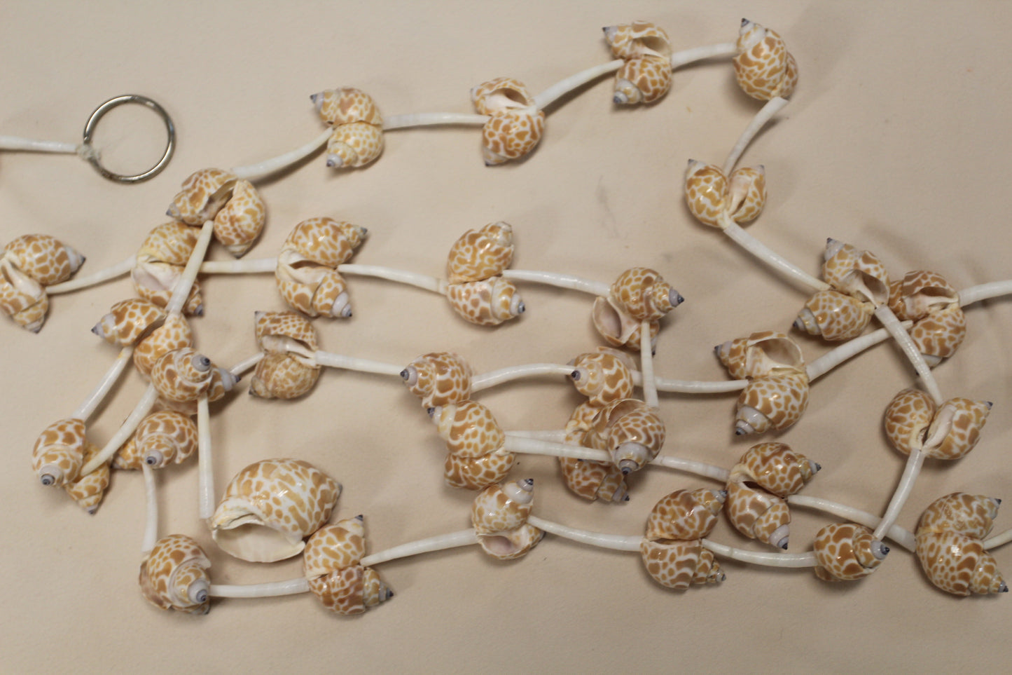 SEASHELL GARLANDS, 6 Feet Long, Christmas Garland, Beach Wedding Decor, Framing Strnds, GS-WLL
