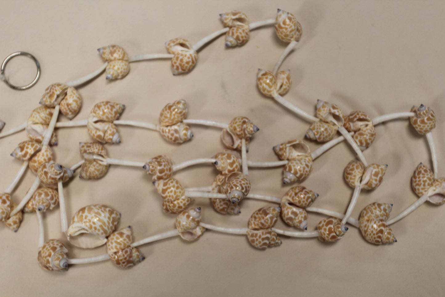 SEASHELL GARLANDS, 6 Feet Long, Christmas Garland, Beach Wedding Decor, Framing Strnds, GS-WLL