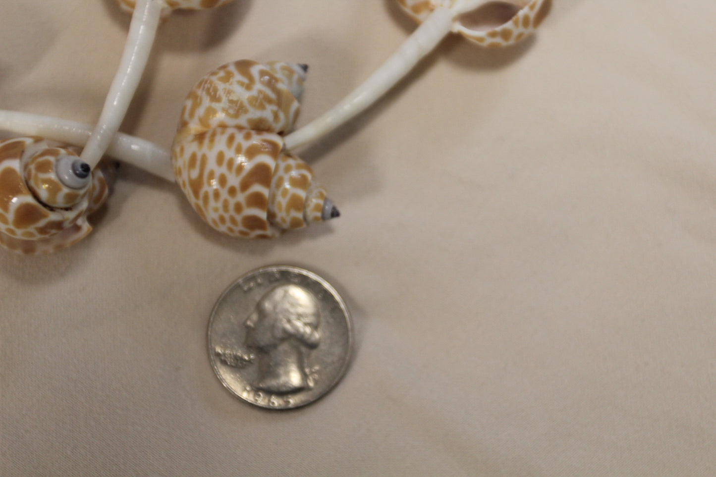 SEASHELL GARLANDS, 6 Feet Long, Christmas Garland, Beach Wedding Decor, Framing Strnds, GS-WLL
