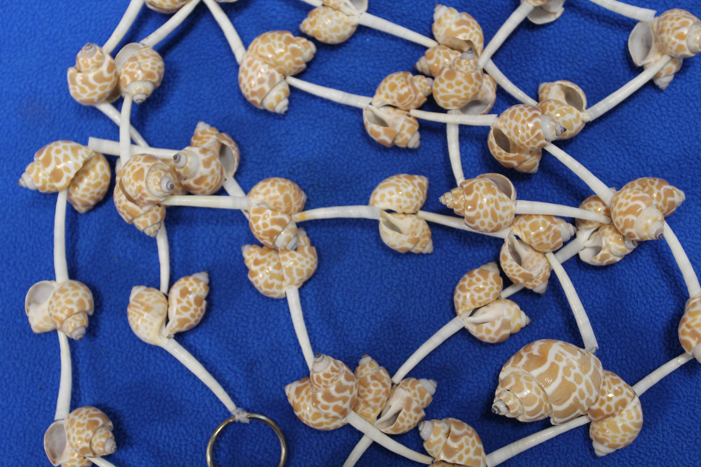 SEASHELL GARLANDS, 6 Feet Long, Christmas Garland, Beach Wedding Decor, Framing Strnds, GS-WLL