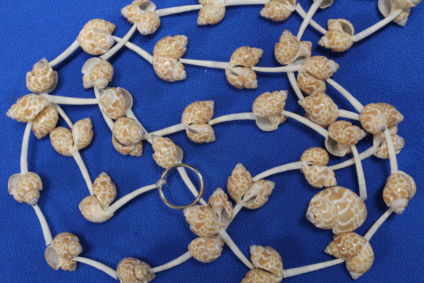 SEASHELL GARLANDS, 6 Feet Long, Christmas Garland, Beach Wedding Decor, Framing Strnds, GS-WLL