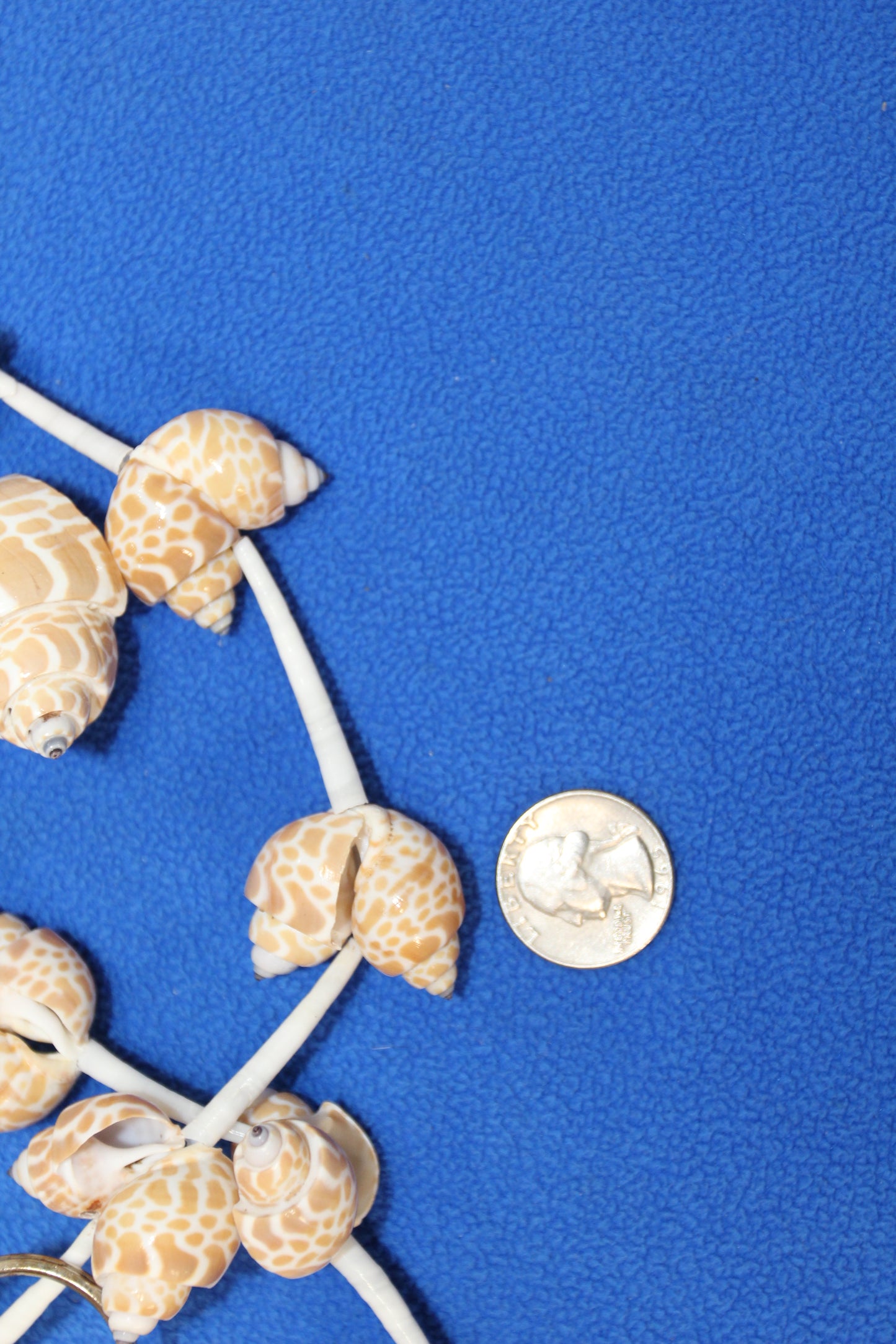 SEASHELL GARLANDS, 6 Feet Long, Christmas Garland, Beach Wedding Decor, Framing Strnds, GS-WLL
