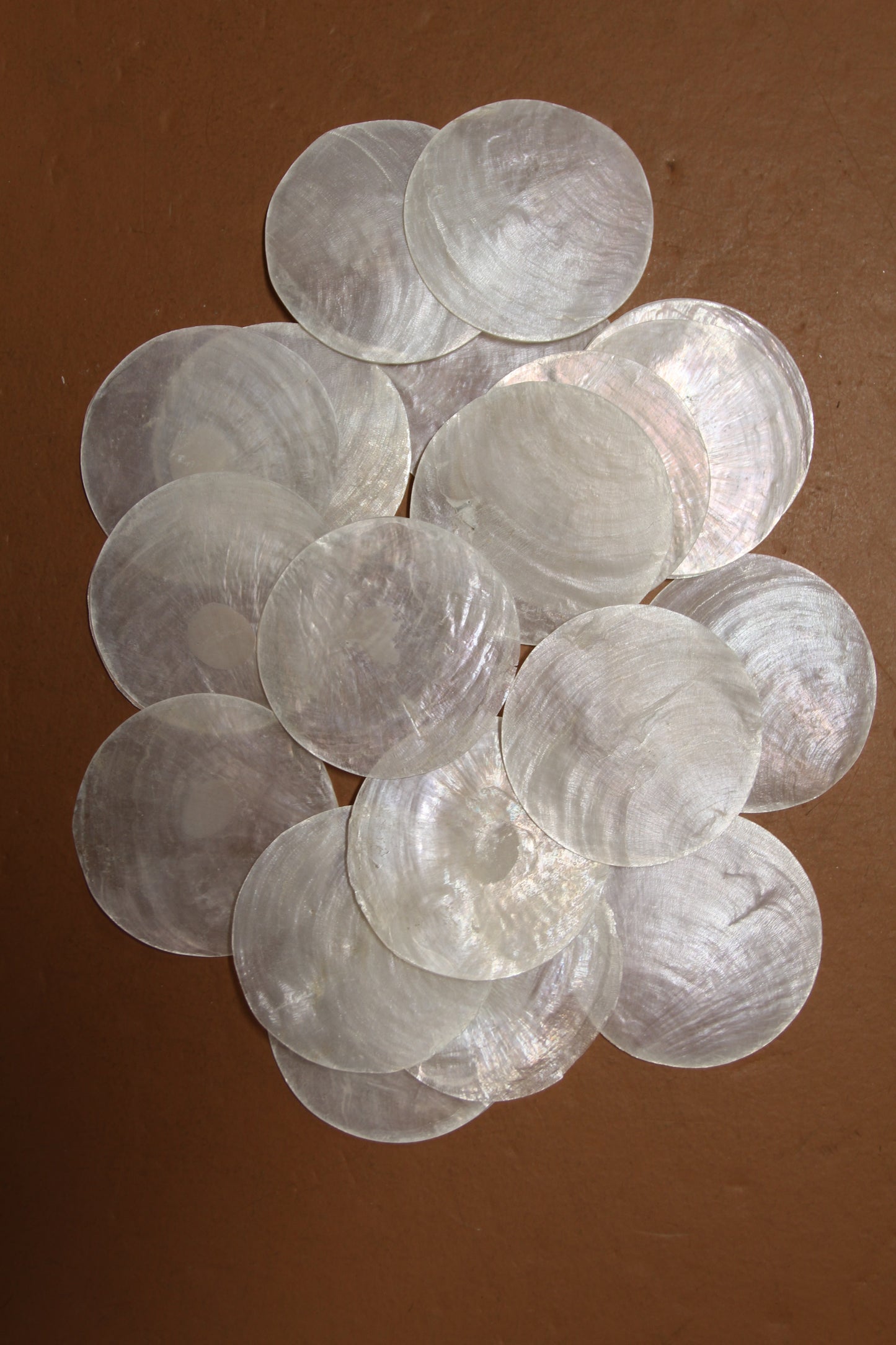 3 inch Capiz Seashell, Thick Cut Shells, Semi Translucent Seashells Wall Art Supply, Beach Home Decor, CS-90