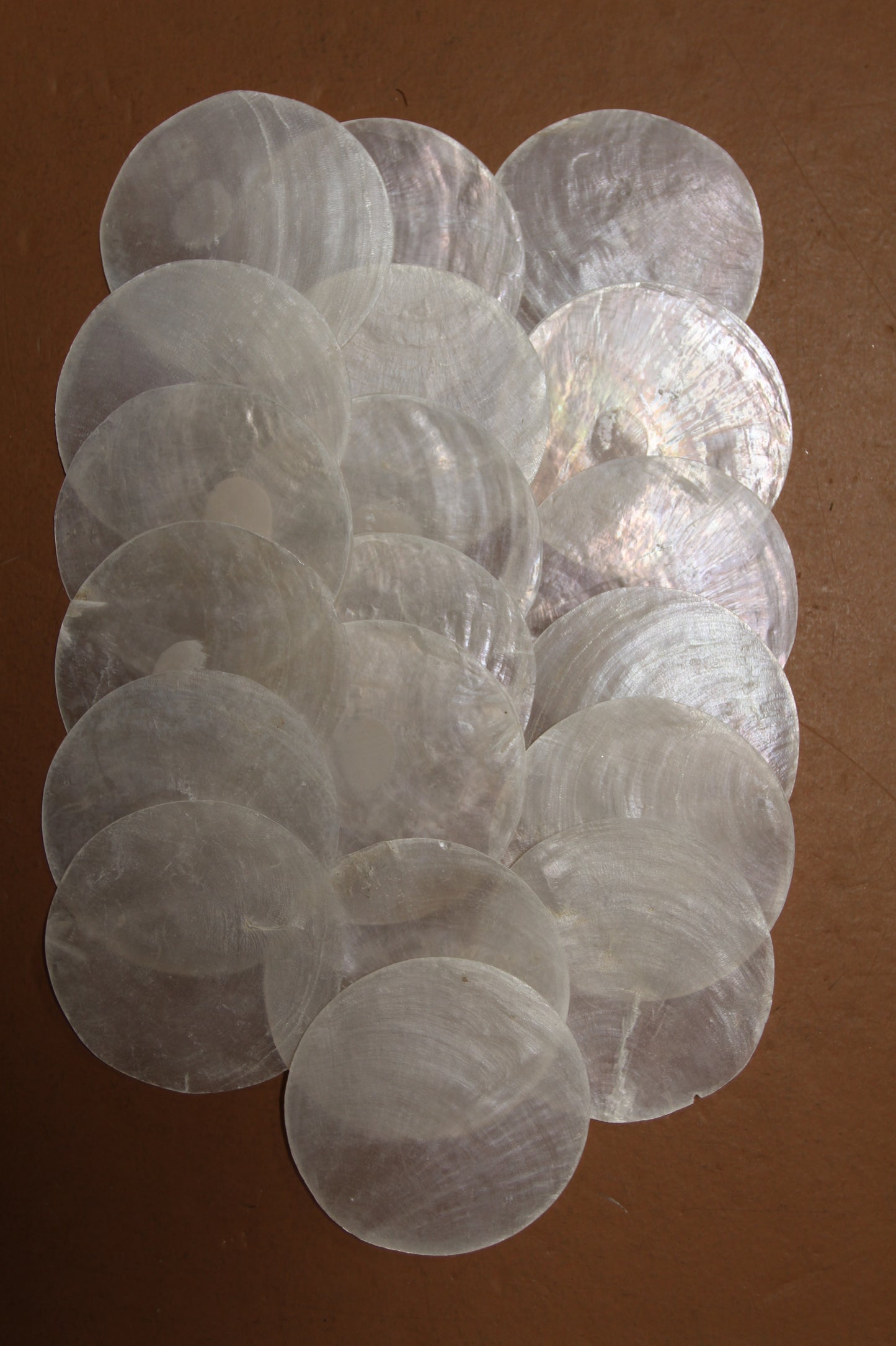 3 inch Capiz Seashell, Thick Cut Shells, Semi Translucent Seashells Wall Art Supply, Beach Home Decor, CS-90