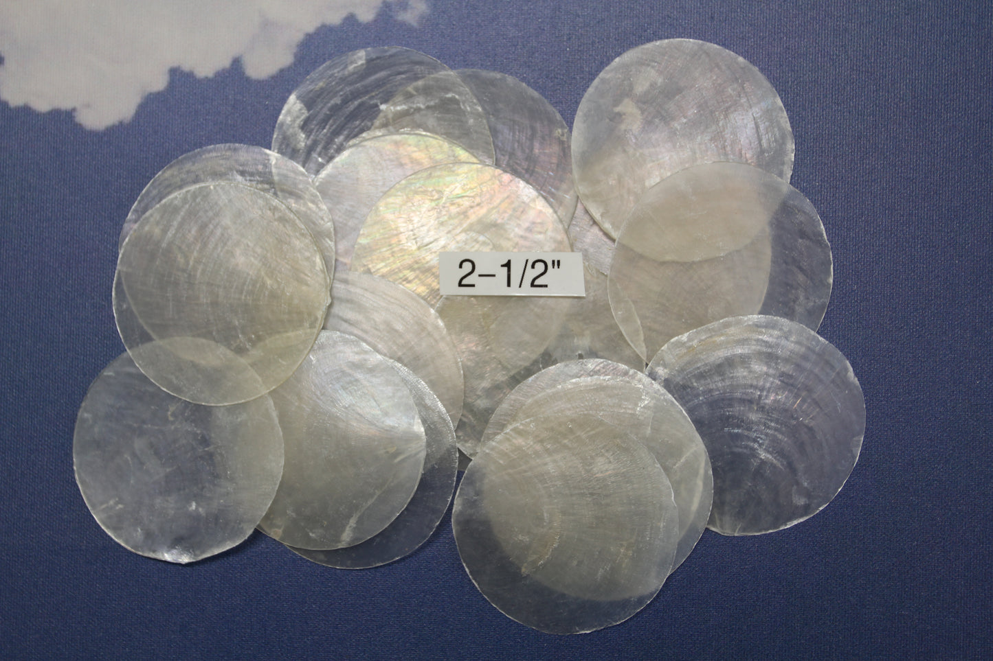 CAPIZ SEASHELLS, 2-1/2", Seaside Wedding Decor, Placement Cards, Floral Accents, Wedding Keepsakes, CS-95