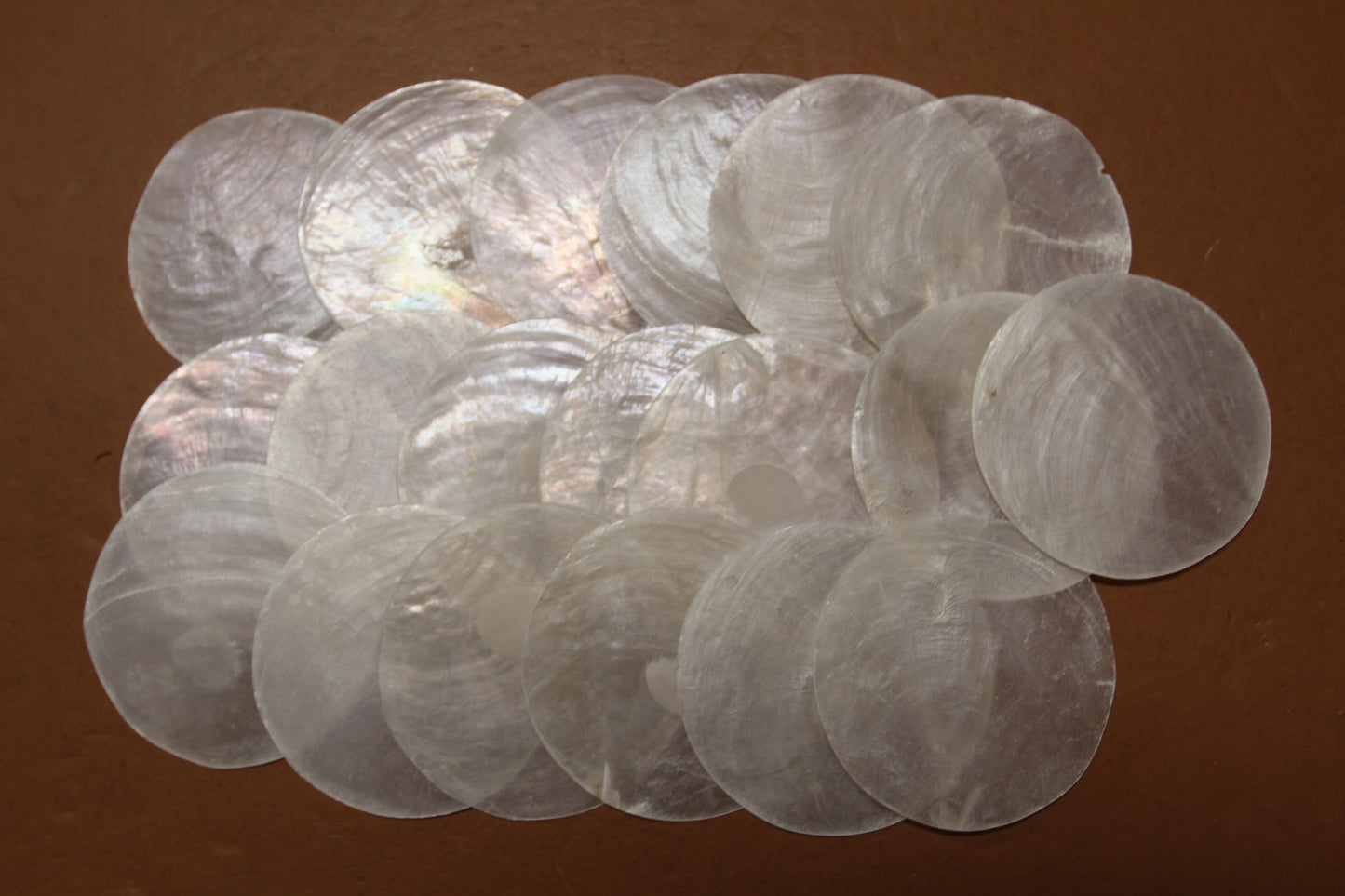 SEASHELLS, Capiz Seashell, Thick Cut Shells, Semi Translucent Seashells Sea Art Supply, Sun Catcher Supply, CS-90