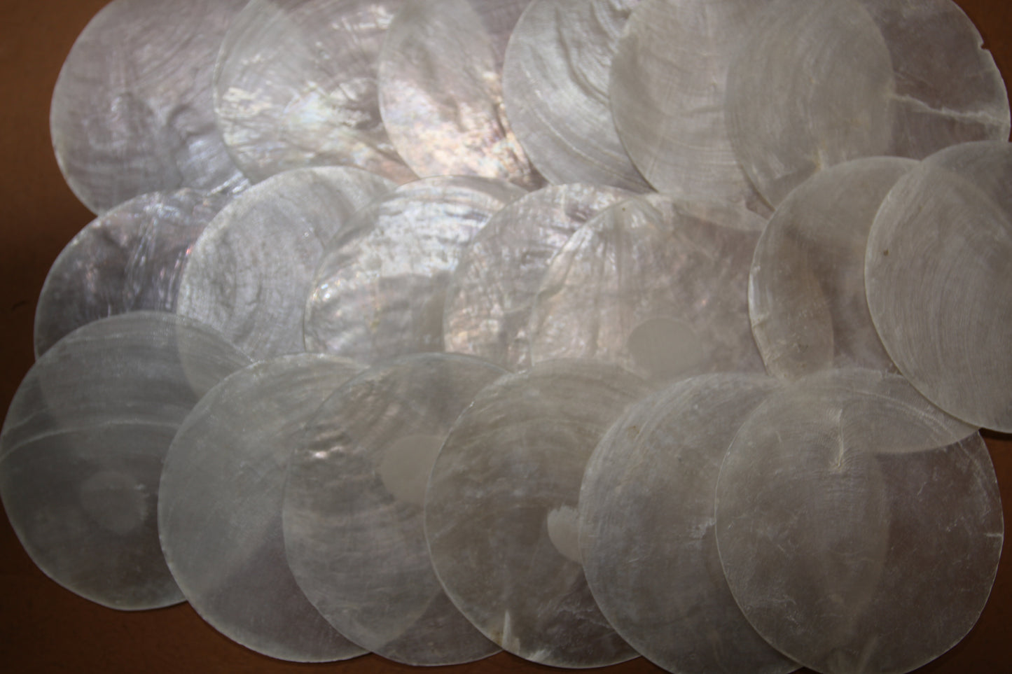 3 inch Capiz Seashell, Thick Cut Shells, Semi Translucent Seashells Wall Art Supply, Beach Home Decor, CS-90