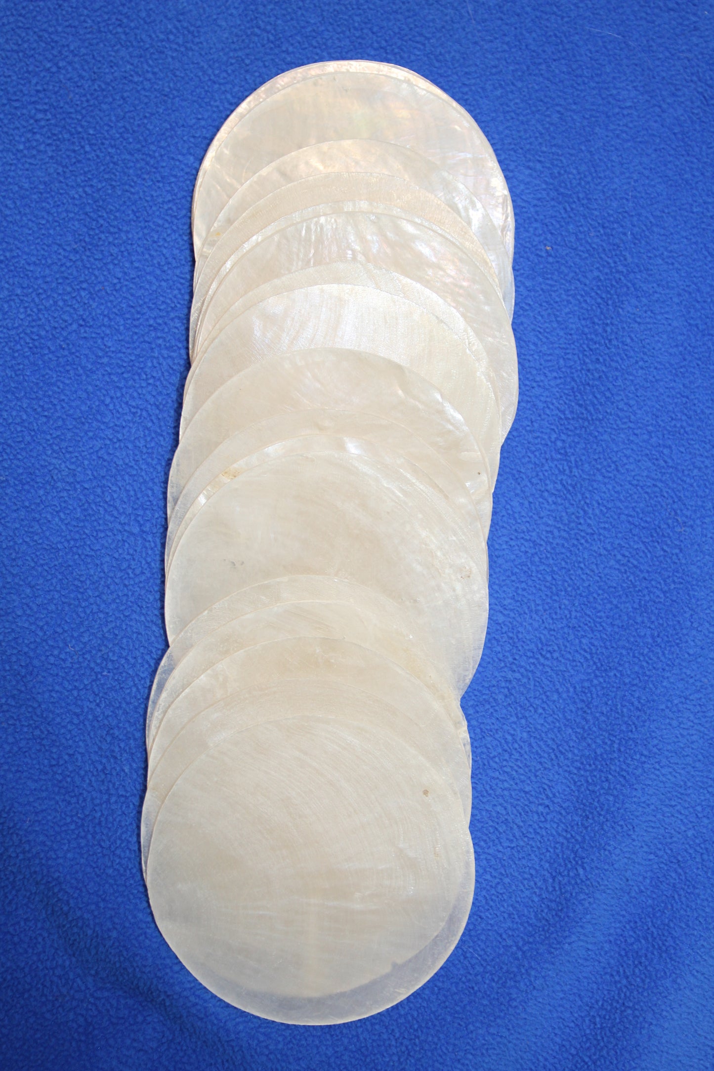 3 inch Capiz Seashell, Thick Cut Shells, Semi Translucent Seashells Wall Art Supply, Beach Home Decor, CS-90