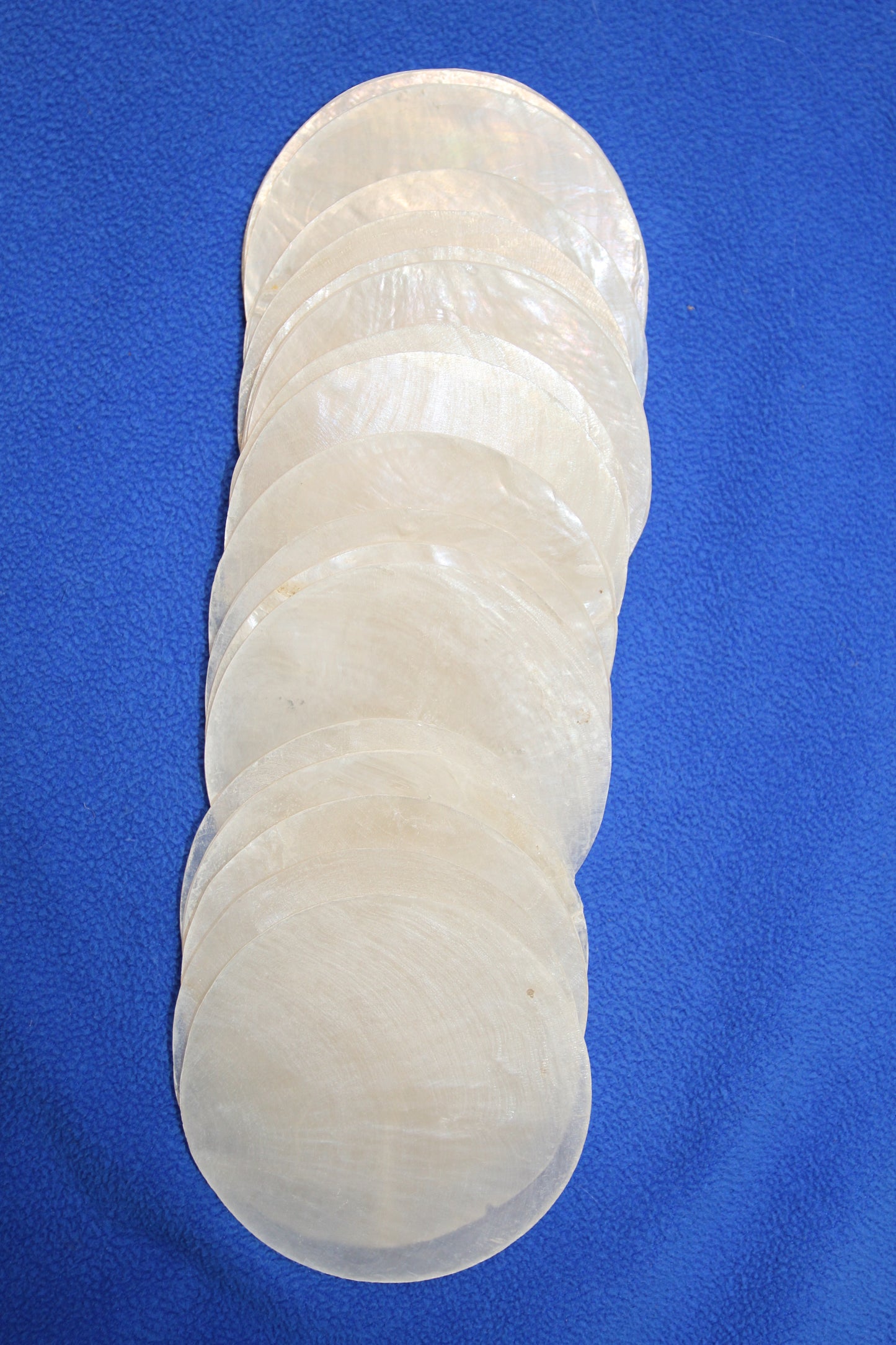 SEASHELLS, Capiz Seashell, Thick Cut Shells, Semi Translucent Seashells Sea Art Supply, Sun Catcher Supply, CS-90