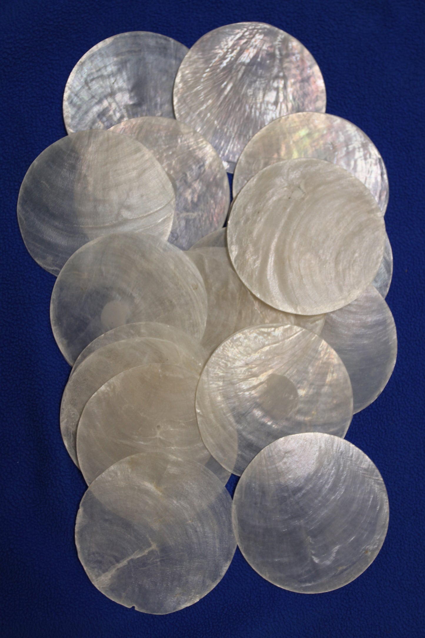 SEASHELLS, Capiz Seashell, Thick Cut Shells, Semi Translucent Seashells Sea Art Supply, Sun Catcher Supply, CS-90