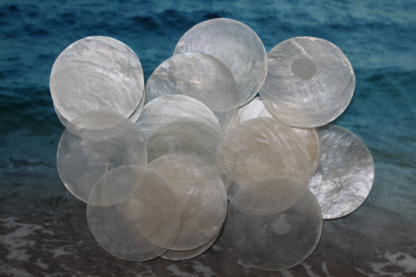 3 inch Capiz Seashell, Thick Cut Shells, Semi Translucent Seashells Wall Art Supply, Beach Home Decor, CS-90