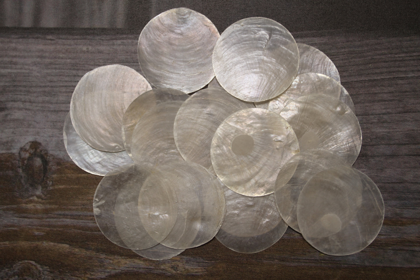 3 inch Capiz Seashell, Thick Cut Shells, Semi Translucent Seashells Wall Art Supply, Beach Home Decor, CS-90