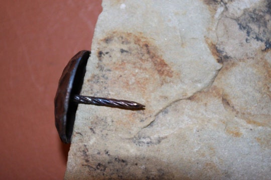3/4 Inch Clavos, Woodworkers Craft Supply, Hammered Nails