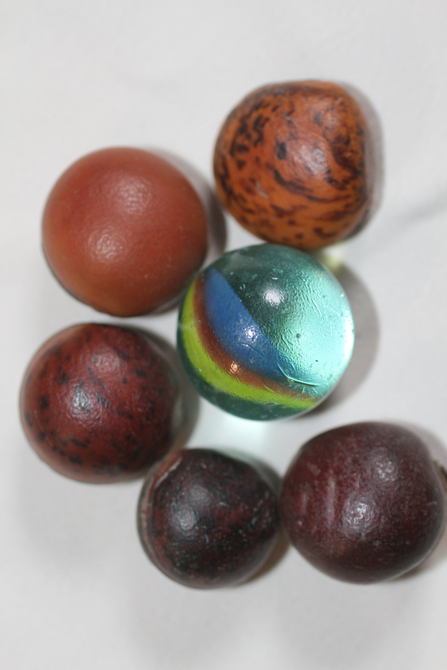 HAMBURGER SEA BEANS, Craft Supply, Beach Decor, Sailors Valentines, Wedding Favors, All Occasion Gifts SS-19