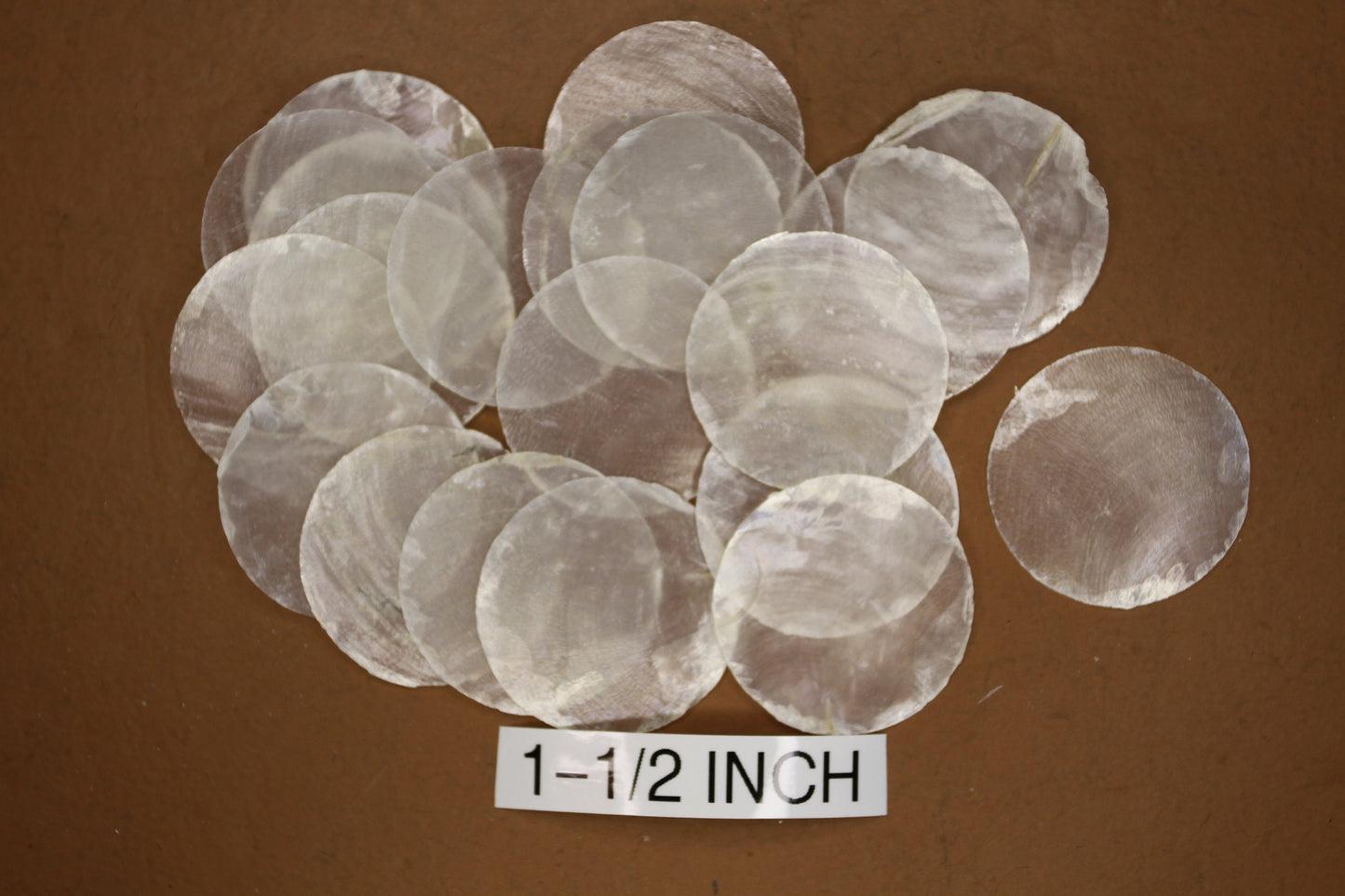 1-1/2" CAPIZ Cut Shell, Craft Supply, Beach Decor, Wedding Supply, Florist Supply, Jewelry Supply, Custom Greeting Card Supply CS- 74