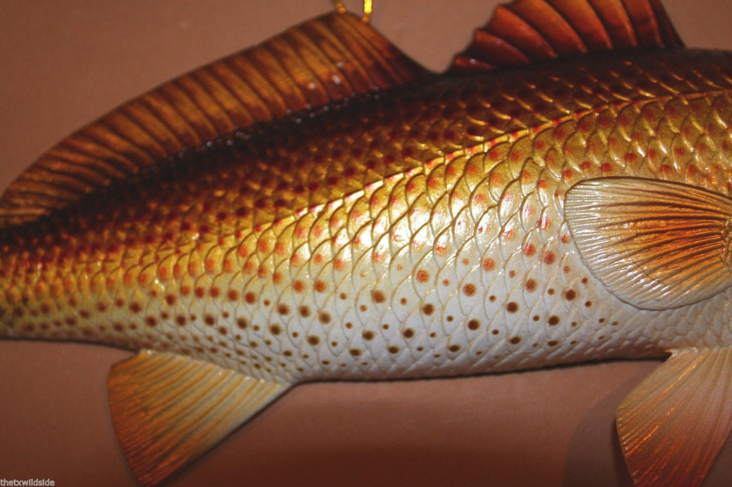 RED FISH, 11" wall hanging, replica of a real salt water fish, sought after by anglers, collectors, and gift givers. Beach and Bay decor.