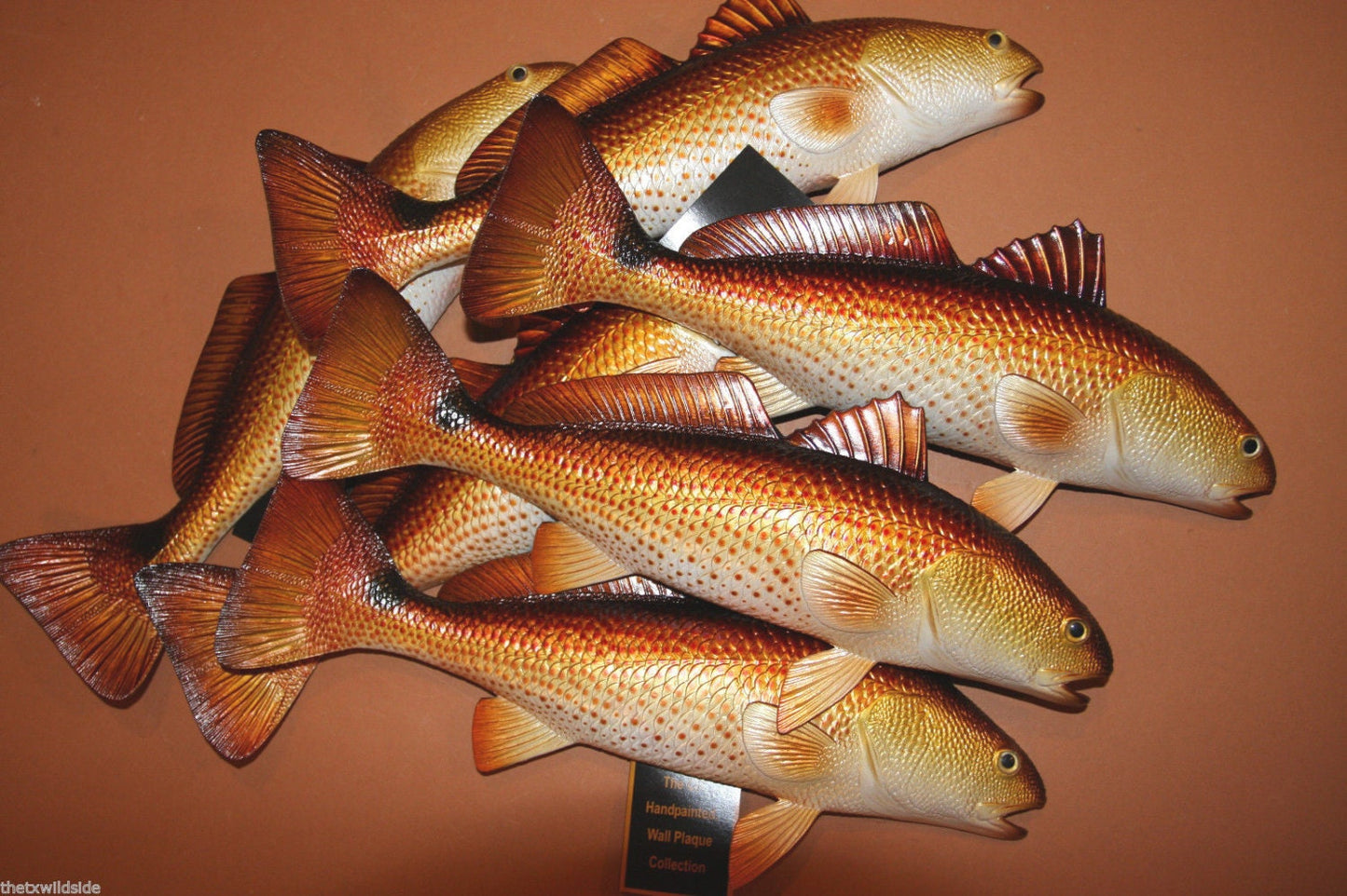 RED FISH, 11" wall hanging, replica of a real salt water fish, sought after by anglers, collectors, and gift givers. Beach and Bay decor.