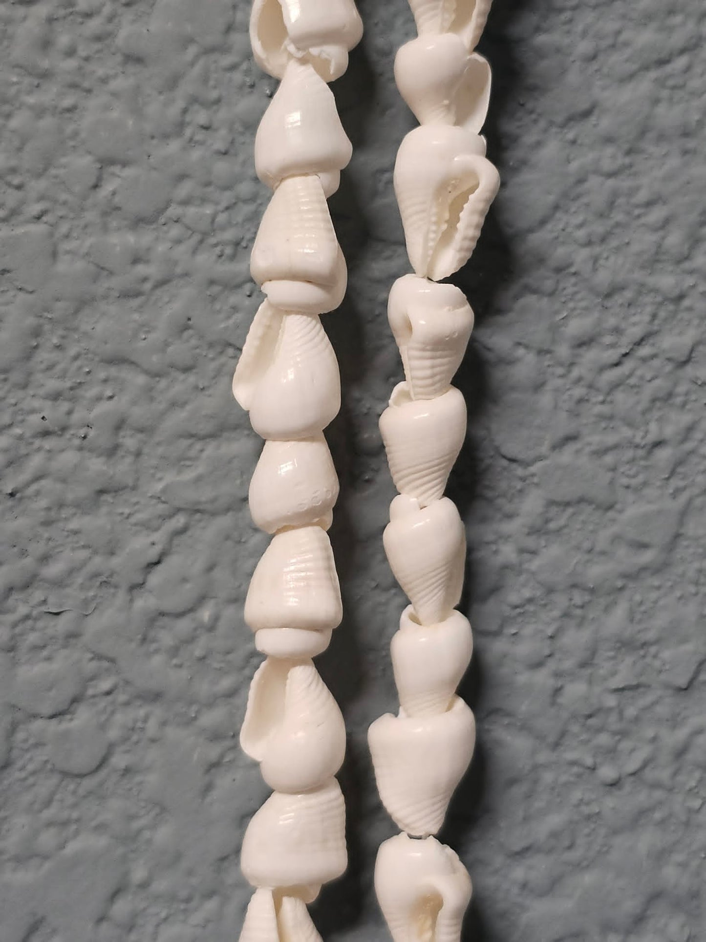 1 - Natural NASSA Seashell Garland, Tan and Cream, Matte Finish, 6 ft, for Shell Crafts and Home Decor, HG-05