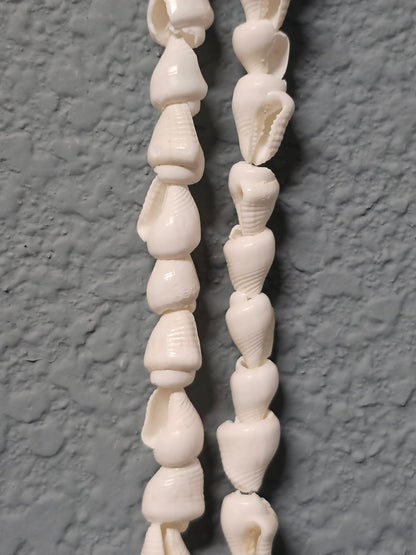1 - Natural NASSA Seashell Garland, Tan and Cream, Matte Finish, 6 ft, for Shell Crafts and Home Decor, HG-05