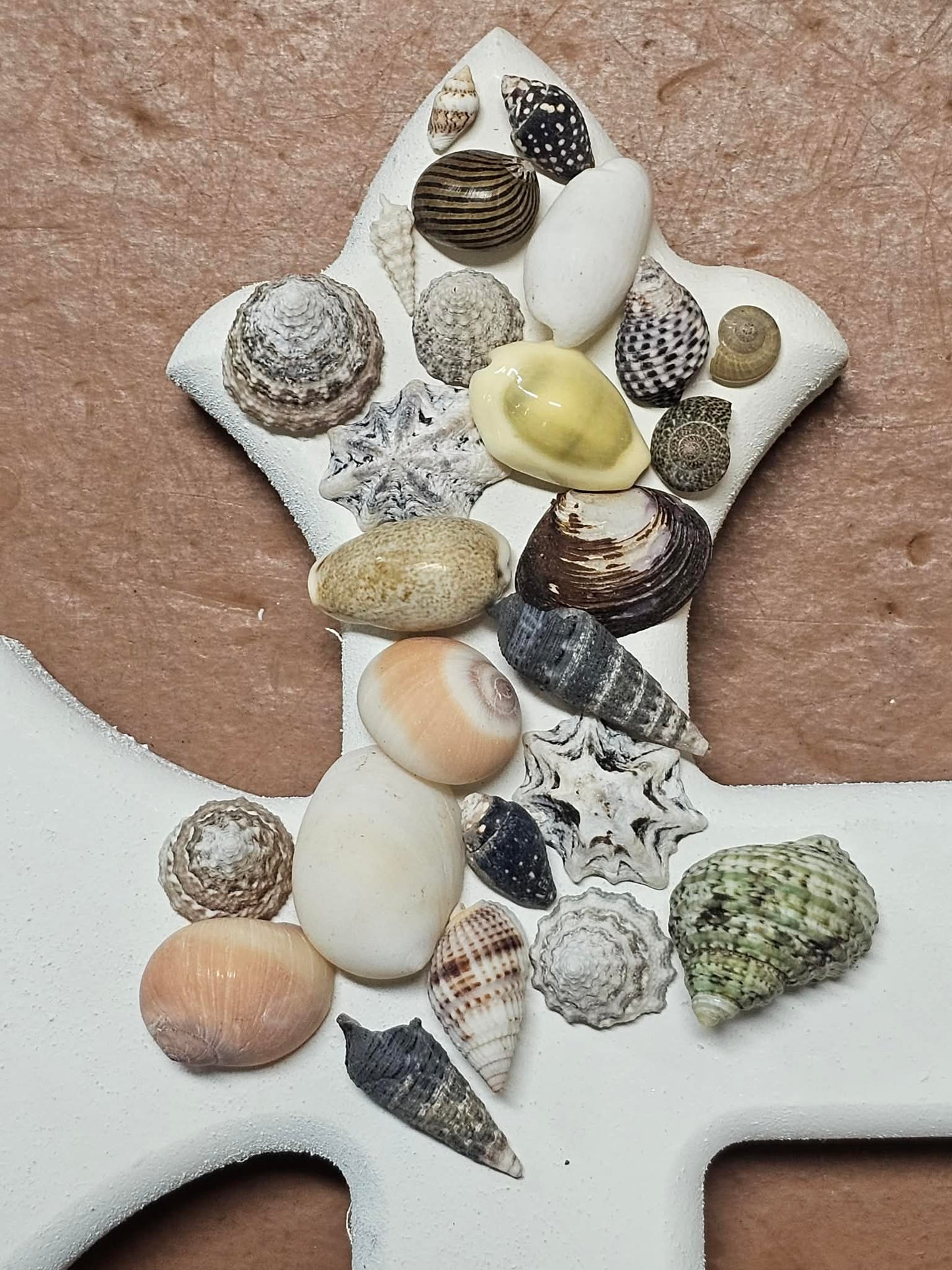 1-Pound, SEASHELL SMALL MIX, Craft Supply, Beach Art,Mosaics,Resin Pour Crafts,Seashell Flowers,SS-172