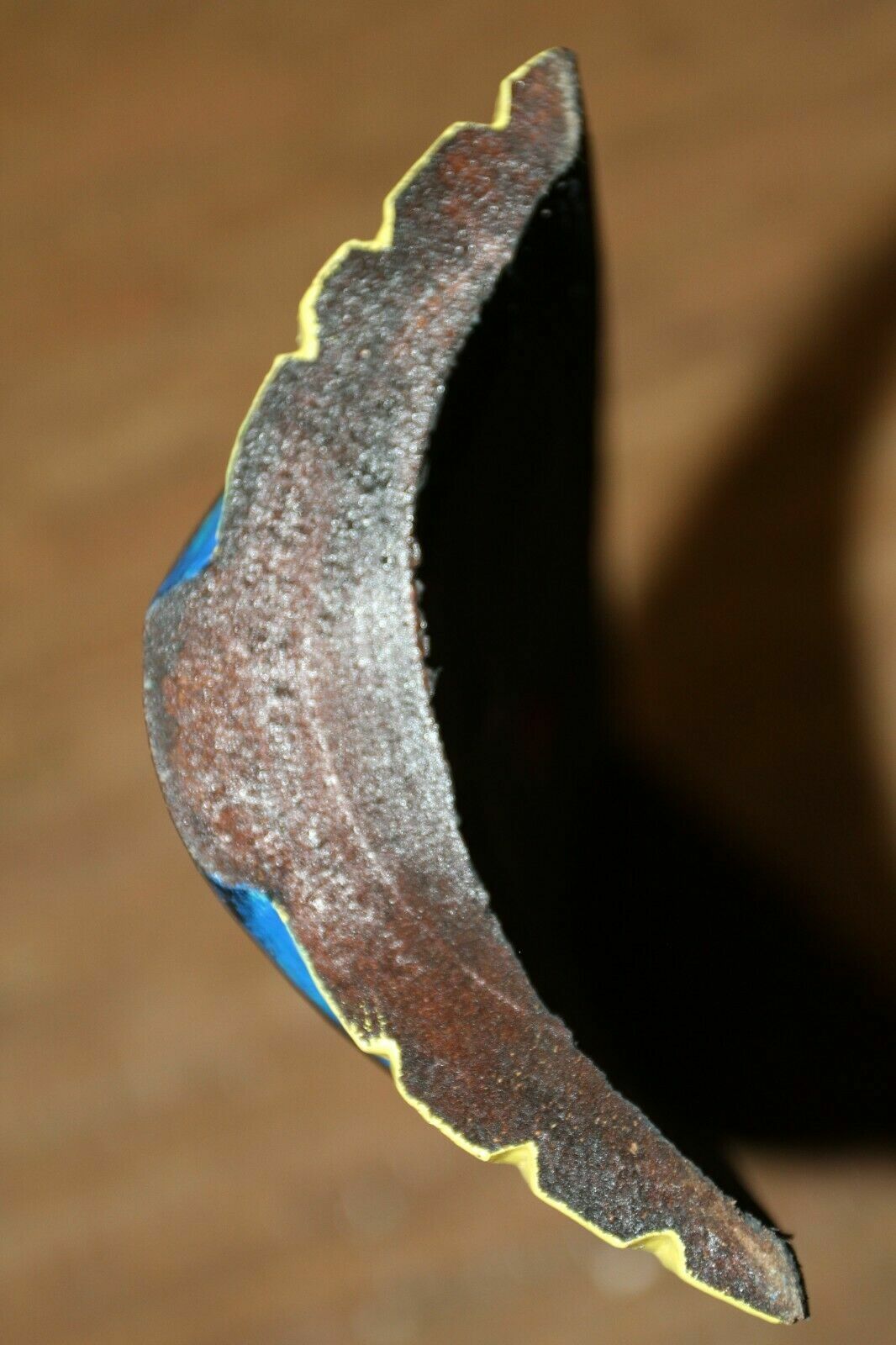 45283146