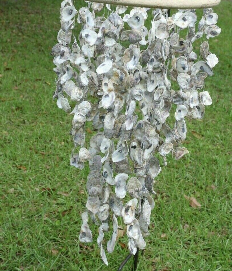 45285886