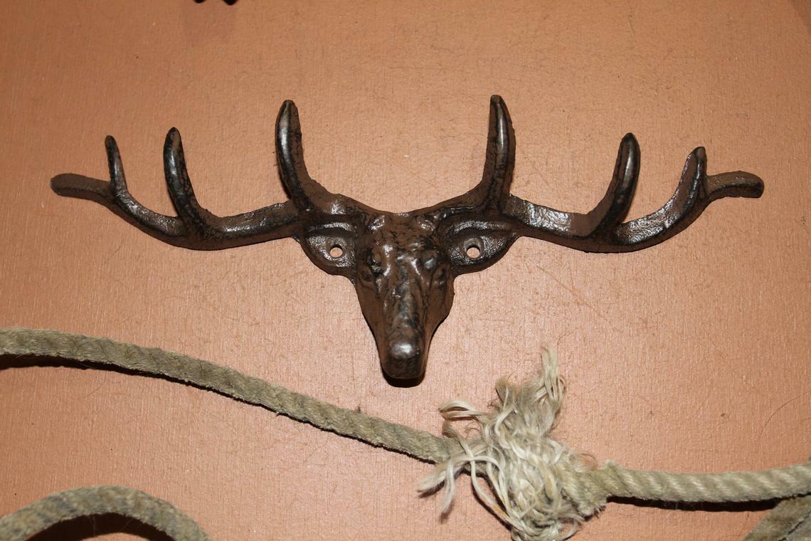 45283117