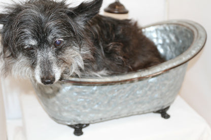 45284786