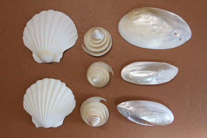 45282880