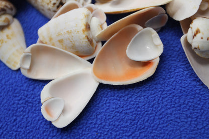 ep01